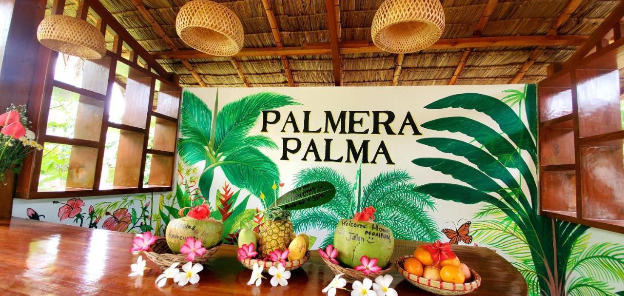 Palmera Palma Top Floor Моалбоал Экстерьер фото